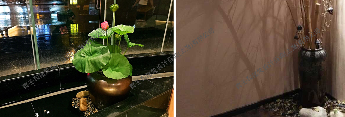 hehuangyaoyedating-1.jpg